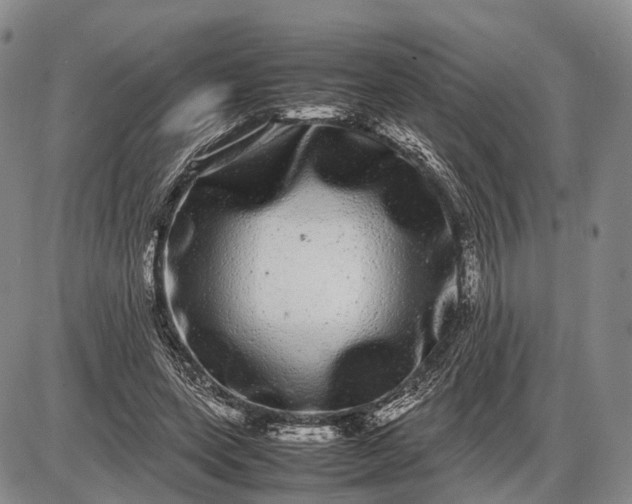 X0000085050543200703191301