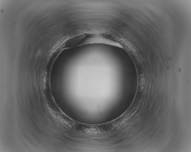X0000085050544200703191301