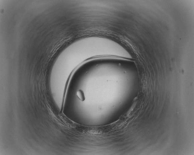X0000085050546200703191301