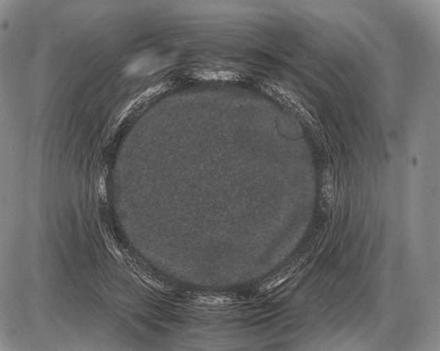 X0000085050547200703191301