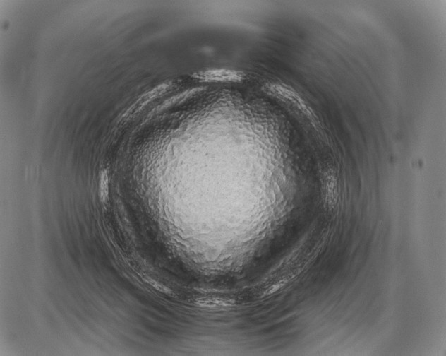 X0000085050549200703191301