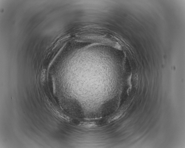 X0000085050554200703191302