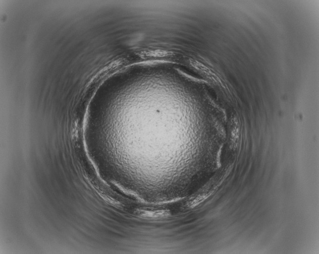 X0000085050555200703191302