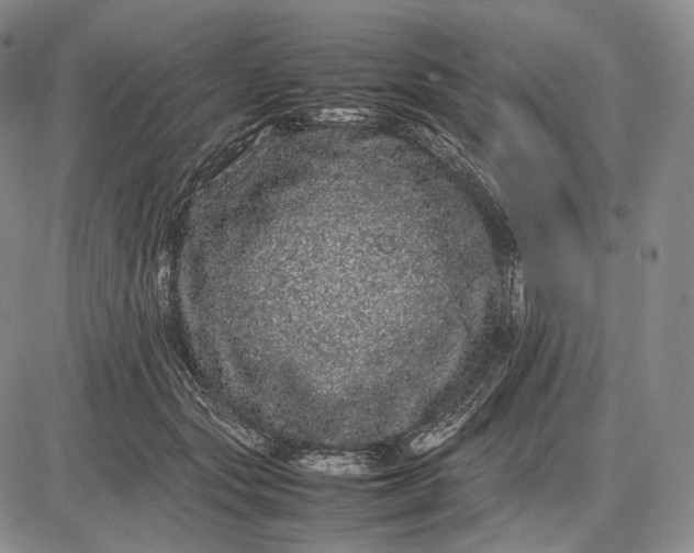 X0000085050557200703191302