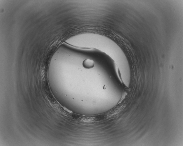 X0000085050560200703191302