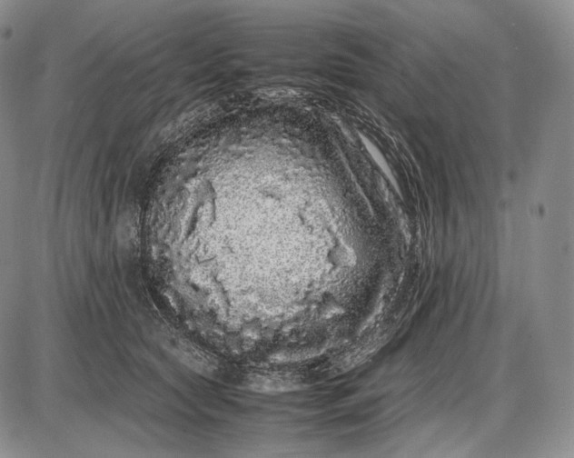 X0000085050561200703191302