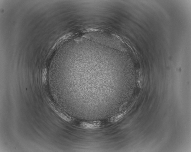 X0000085050563200703191302