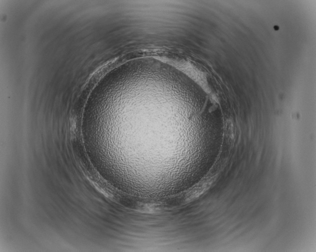 X0000085050564200703191302