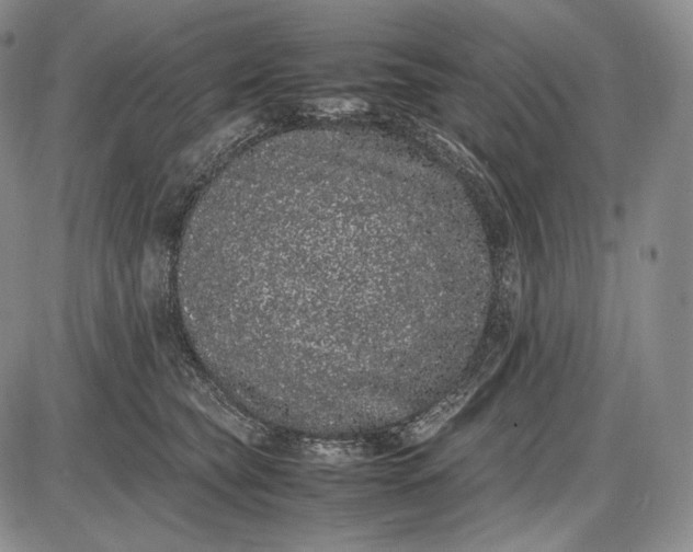 X0000085050565200703191302