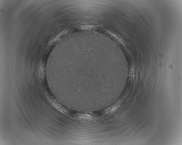 X0000085050572200703191302