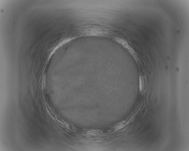 X0000085050579200703191301