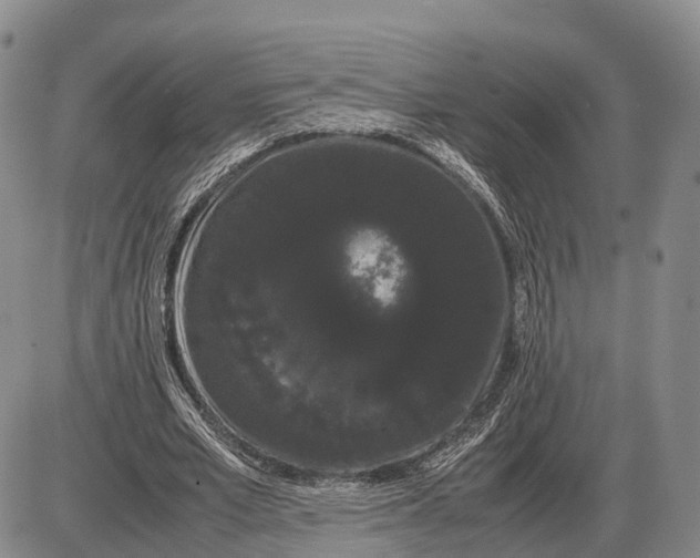 X0000085050581200703191301