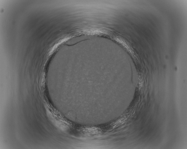 X0000085050583200703191301
