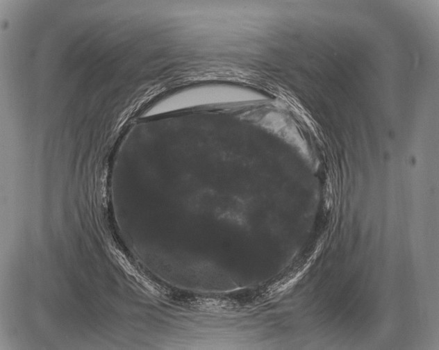X0000085050585200703191301