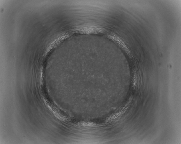 X0000085050590200703191301