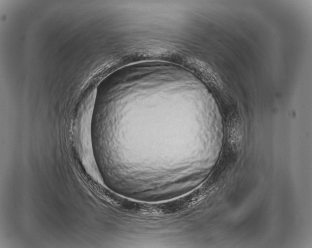 X0000085050591200703191301