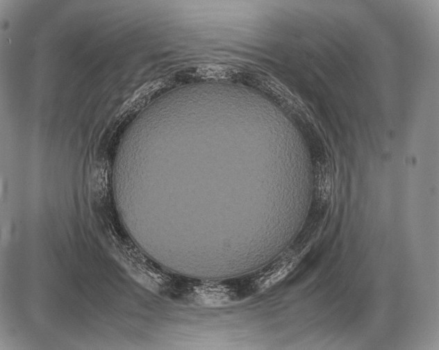 X0000085050603200703191301