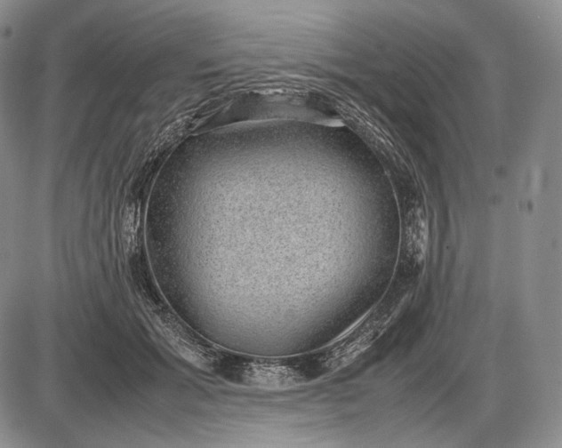 X0000085050605200703191301