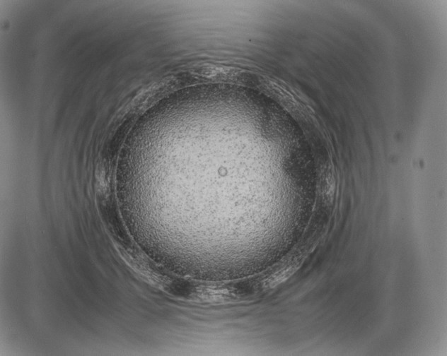 X0000085050607200703191301