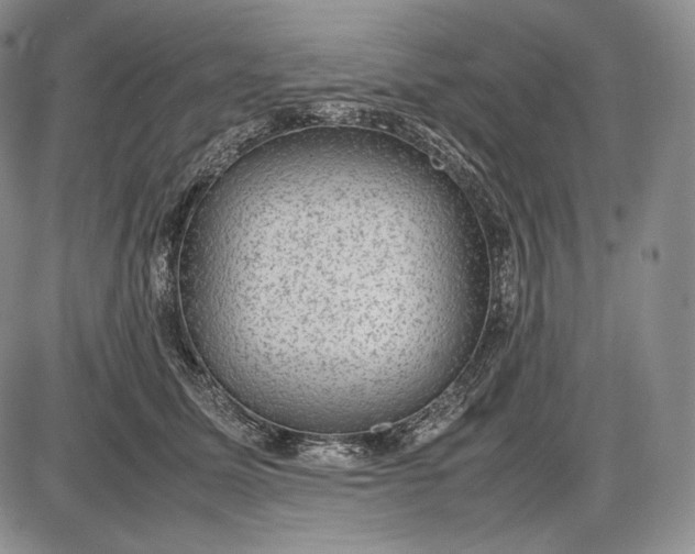 X0000085050611200703191301