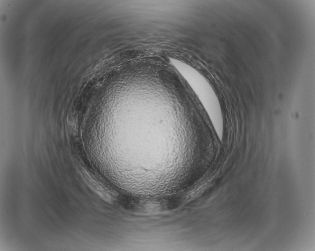 X0000085050613200703191301