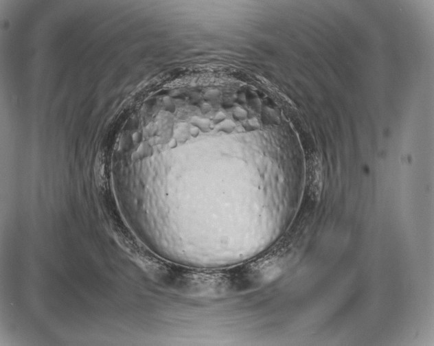 X0000085050615200703191300