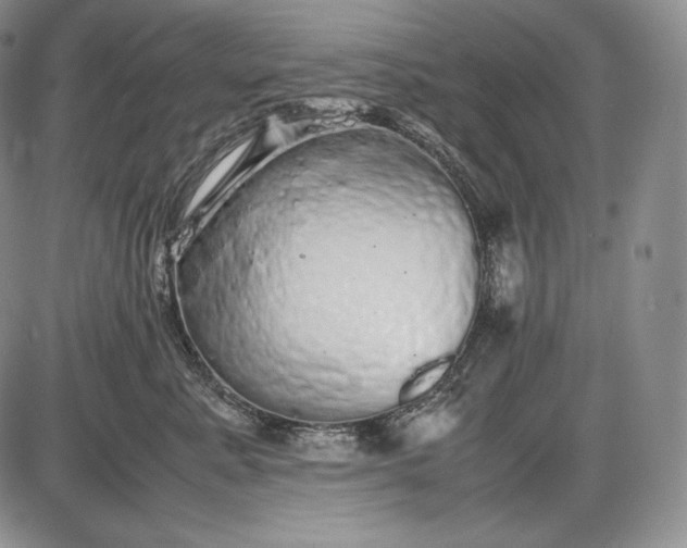 X0000085050619200703191300