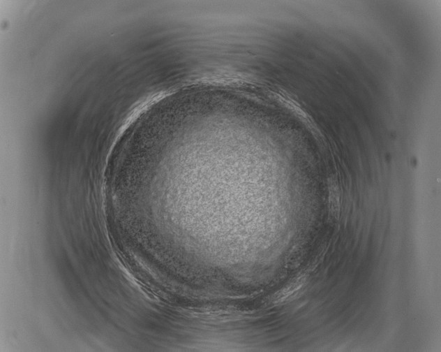 X0000085050626200703191300
