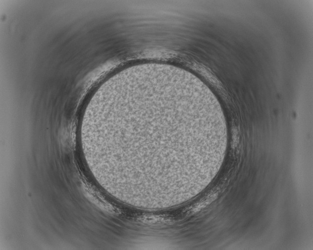X0000085050632200703191300