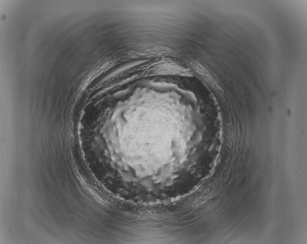 X0000085050634200703191300