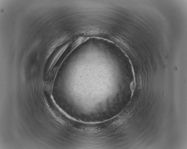 X0000085050638200703191300