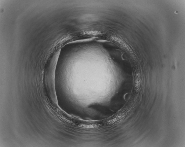 X0000085050639200703191300