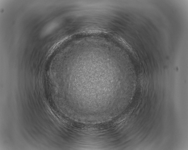 X0000085050640200703191300