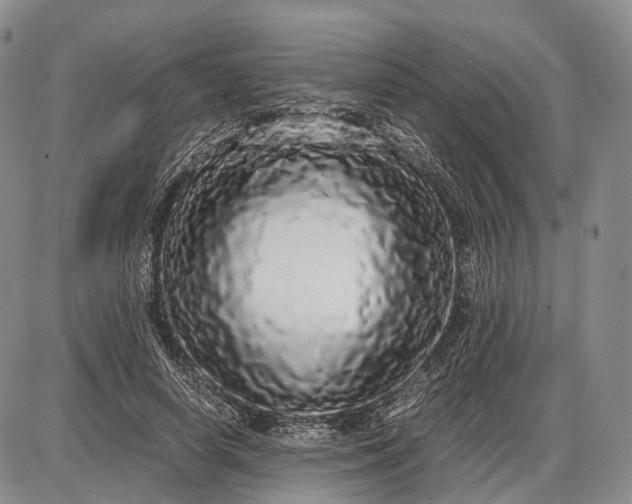 X0000085050642200703191300