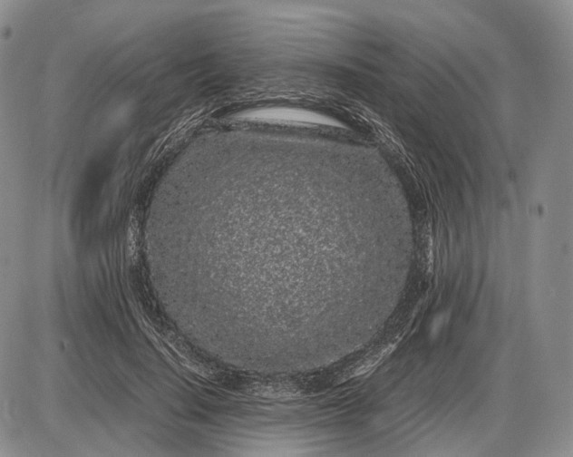 X0000085050644200703191300