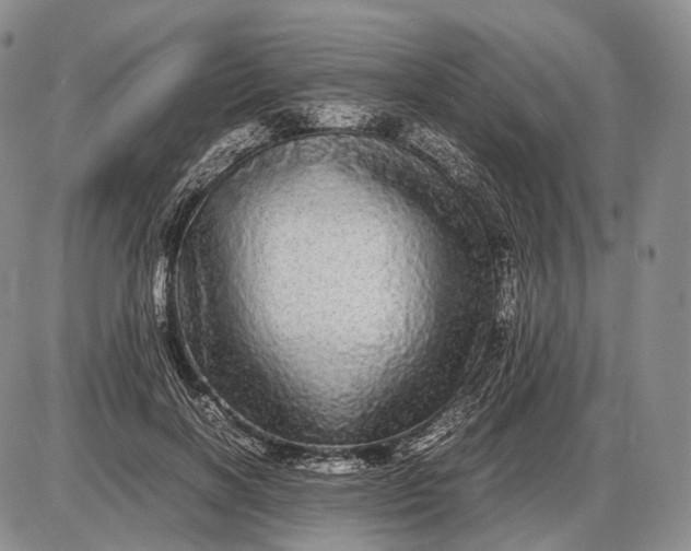 X0000085050646200703191300