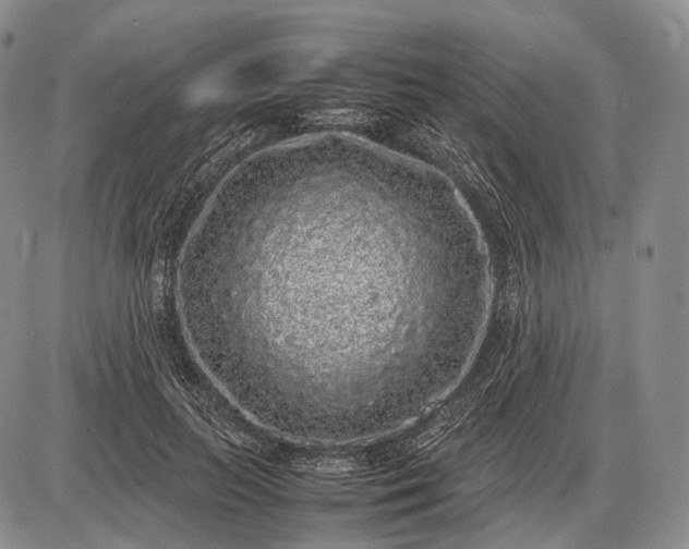 X0000085050647200703191300