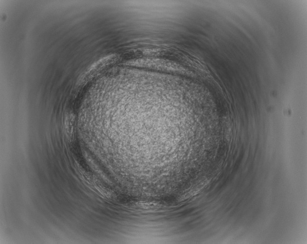 X0000085050650200703191300