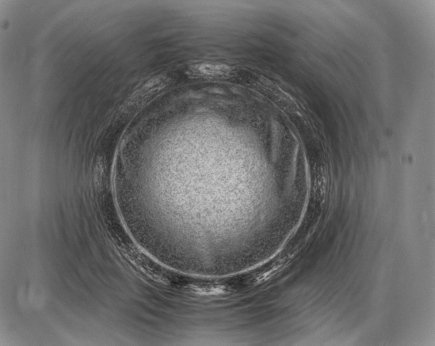 X0000085050651200703191300