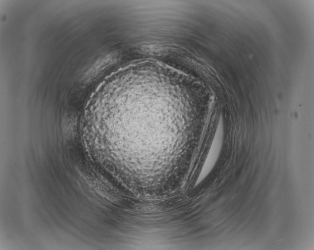 X0000085050652200703191300