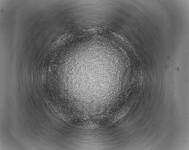 X0000085050656200703191300