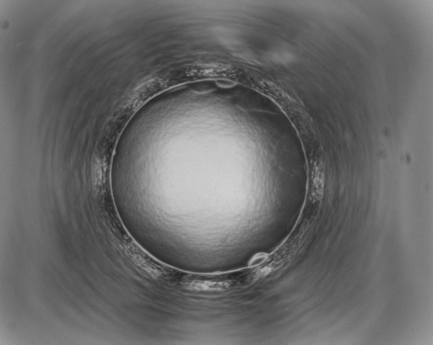 X0000085050657200703191300