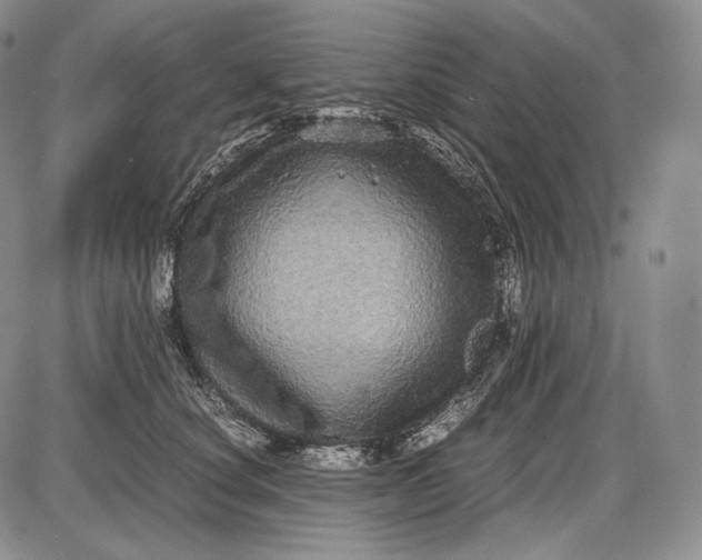 X0000085050660200703191300