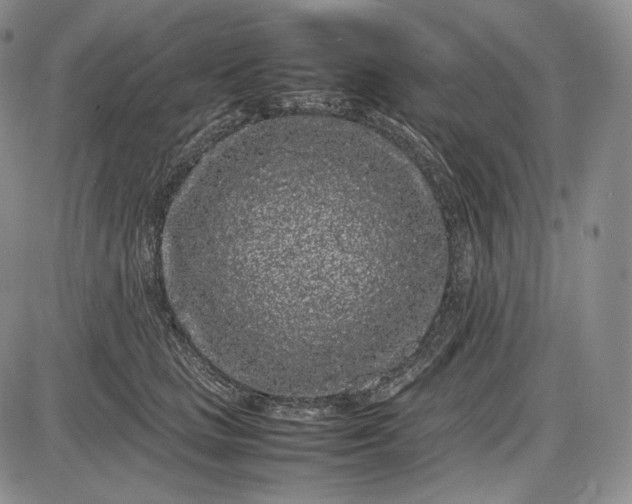 X0000085050661200703191300