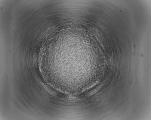 X0000085050662200703191300