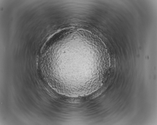 X0000085050664200703191300