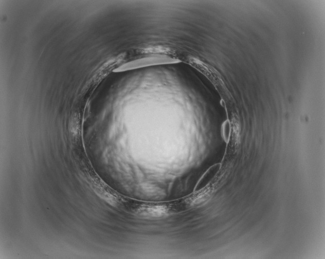 X0000085050665200703191300