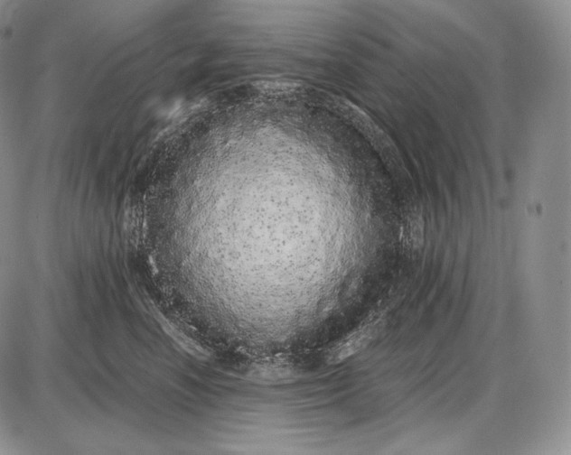 X0000085050666200703191300