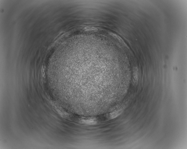 X0000085050667200703191300
