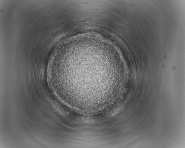 X0000085050668200703191300